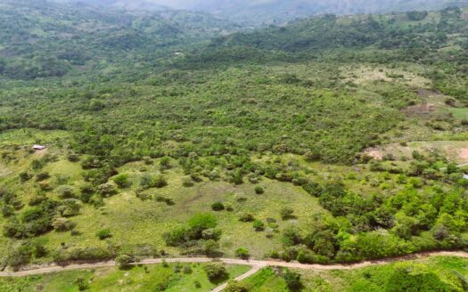 Chame – Sora Land For Sale – Manglarito