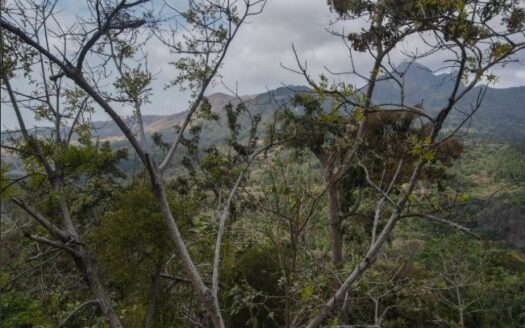 Altos del Maria – Lot for Sale Toscana