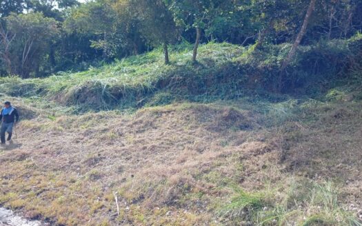Altos del Maria – Lot for Sale Toscana